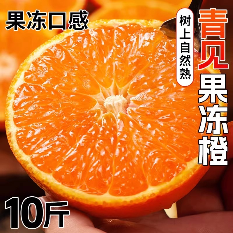 爱媛果冻橙现摘现发新鲜水果应季橙子香甜多汁甜橙薄皮全国果园