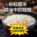 新货长糯米 湖北孝感长糯米粘大米新糯米白江米黏大米包粽