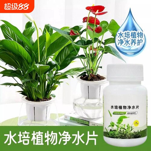 水培植物净水片鲜花花卉保鲜剂不碗莲专用通用消毒片净化水质绿植