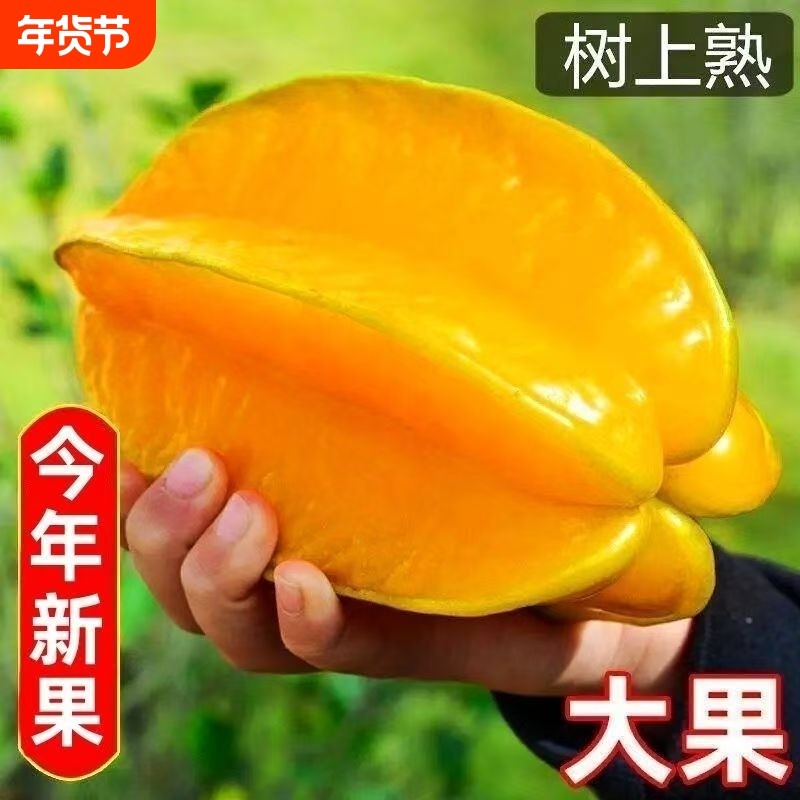 杨桃新鲜水果当季水果洋桃精选热带水果降火红龙杨桃樱桃黄桃罕见