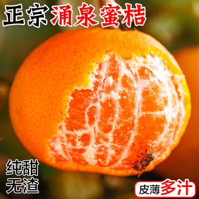 正宗临海涌泉蜜桔精品装 新鲜水果橘子一整箱蜜橘当黄岩 顺丰包邮