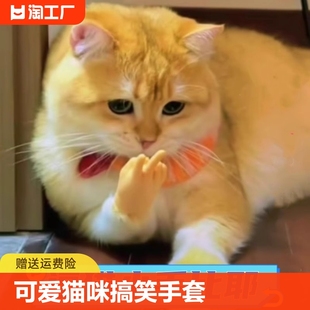 猫咪手套迷你搞笑人手小手逗猫玩具剪刀比耶小猫手套爪子弹力指套