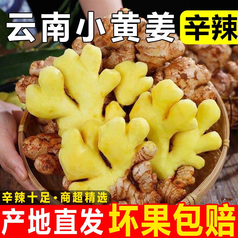 正宗云南黄姜生姜新鲜现发现挖月子嫩姜自种农家蔬菜特级整箱批发
