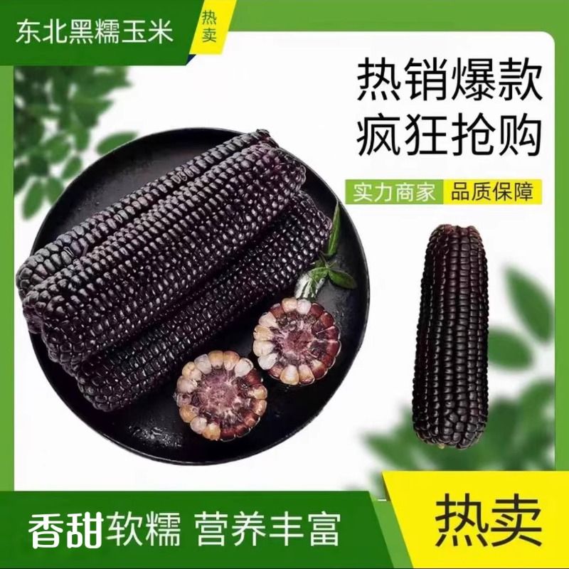 东北黑玉米真空装黑糯花青素香糯饱腹营养早餐粗粮当季农家甜糯鲜