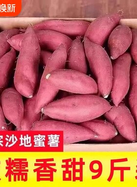 26年新鲜沙地蜜薯糖心红心地瓜农家自种黄心番薯西瓜红现挖板栗薯