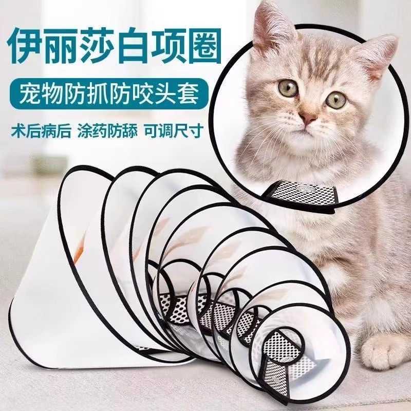 伊丽莎白圈狗狗猫咪项圈脖套防舔防抓咬耻辱圈宠物头套绝育防护圈