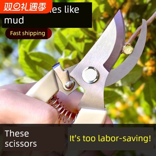 剪树枝剪刀专用花剪园艺园林修枝园丁剪嫁接强力采摘修水果树修剪