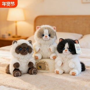可爱仿真暹罗猫玩偶超萌布娃娃猫咪公仔毛绒玩具家居摆件送女生