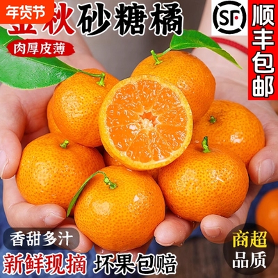 正宗广西纯甜砂糖橘当季新鲜