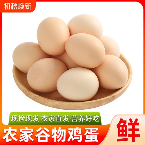 谷物鲜鸡蛋大容量整箱现货生鲜