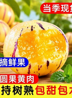 人参果新鲜水果云南石林黄心圆果树上熟七彩果应当季整箱包邮现摘