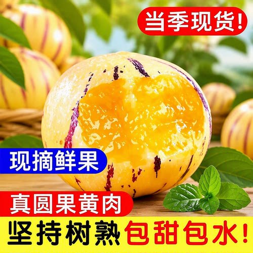 人参果新鲜水果云南石林黄心圆果树上熟七彩果应当季整箱包邮现摘