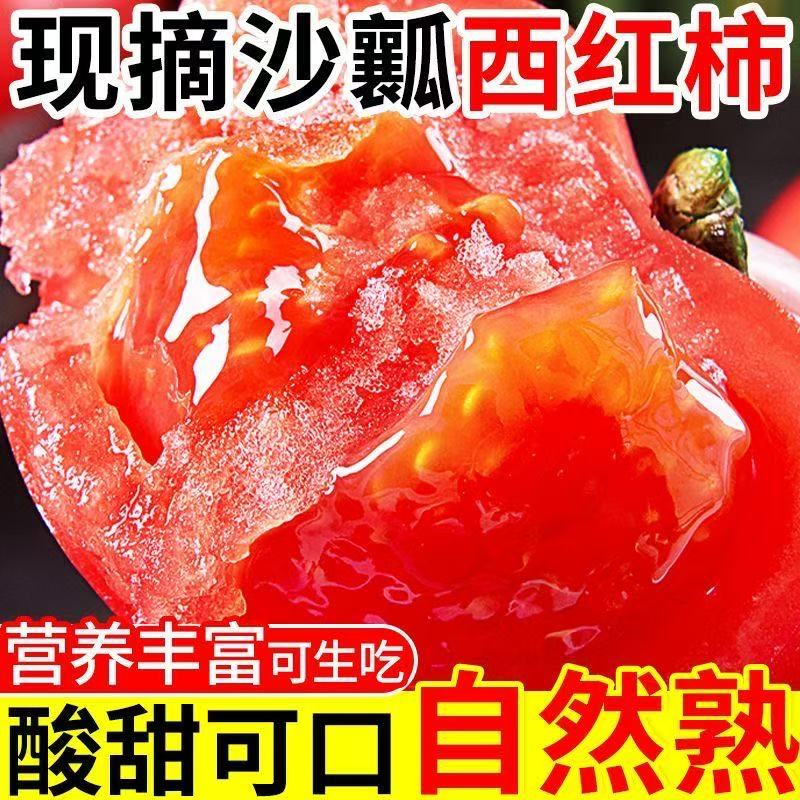正宗供商超品质沙瓤西红柿