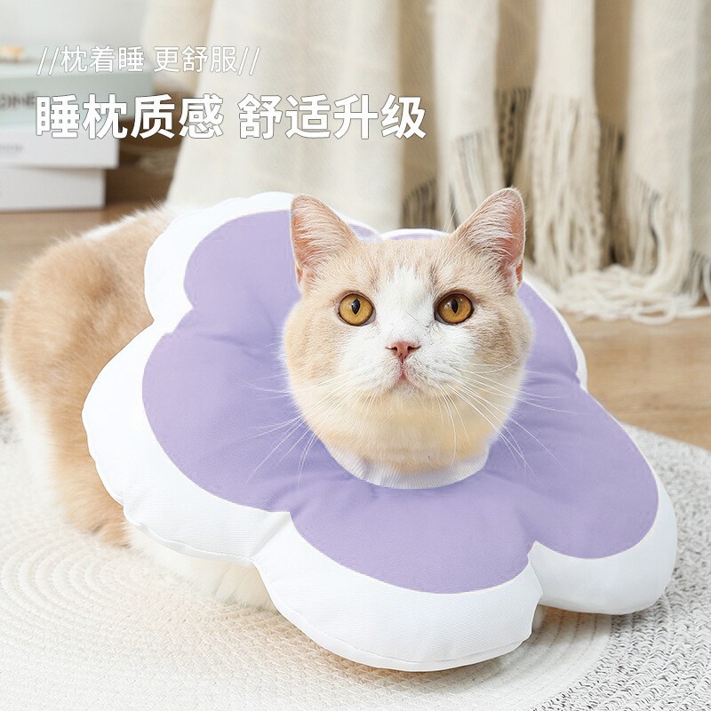 猫咪伊丽莎白圈脖套绝育幼猫伊利沙白项圈脖圈宠物圈狗狗防舔神器