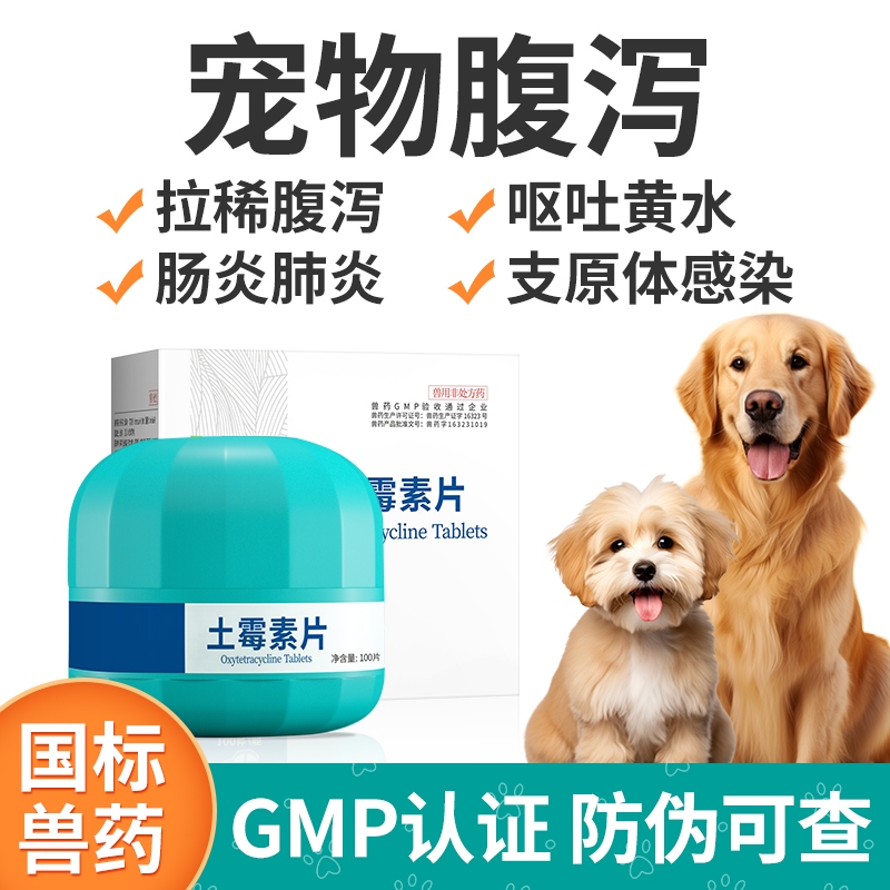 狗狗腹泻拉肚子抗菌消炎药消化道