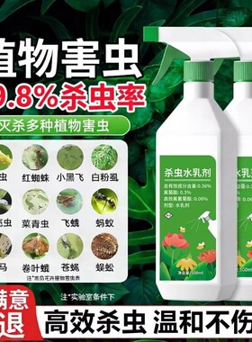 小黑飞杀虫剂家用花盆花土壤