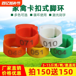 家禽脚环鸡鸭鹅通用标记卡扣式带编号可调大小刻字鸡鸭记号识别