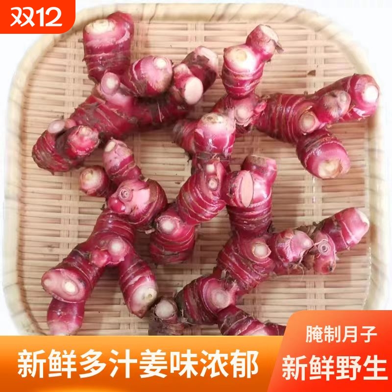 正宗潮汕南姜新鲜山姜良姜红皮白现挖生姜南姜新鲜南姜三年老南姜