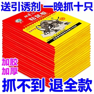 粘鼠板强力胶抓粘大老鼠贴药灭抓鼠神器克星家用一窝端捕鼠厨房