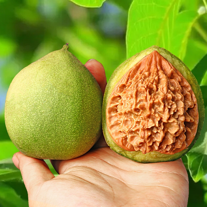 赌青皮核桃开扒野生文玩手把件四座楼白狮子虎头官帽苹果园带绿皮