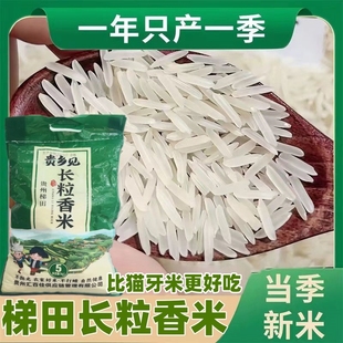 新鲜现磨大米香喷喷贵州梯田长粒香米梯田高山云雾滋养口感出众