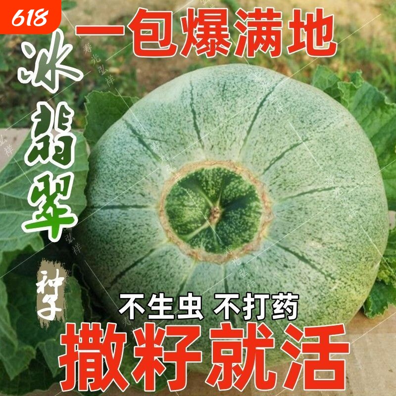 冰糖绿宝石甜瓜种子甜脆青皮薄皮香瓜籽四季庭院阳台盆栽水果种子