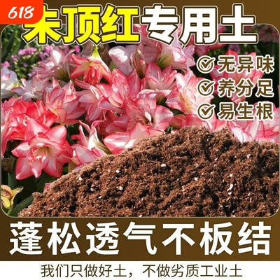 朱顶红专用轻质营养土养花育苗盆栽通用轻质疏松透气通用型泥炭土