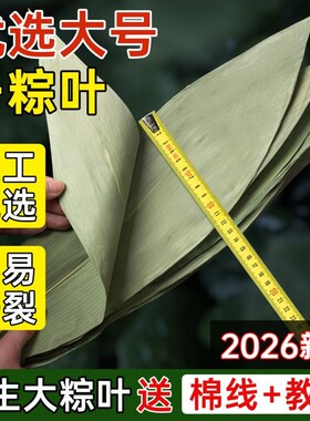 干粽叶大码粽子叶免邮新鲜麻竹箬叶商包粽子材料端午批发送绳叶子