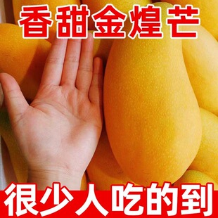 广西金煌芒芒果5-9斤新鲜水果当季整箱包邮热带甜心海南芒青皮芒