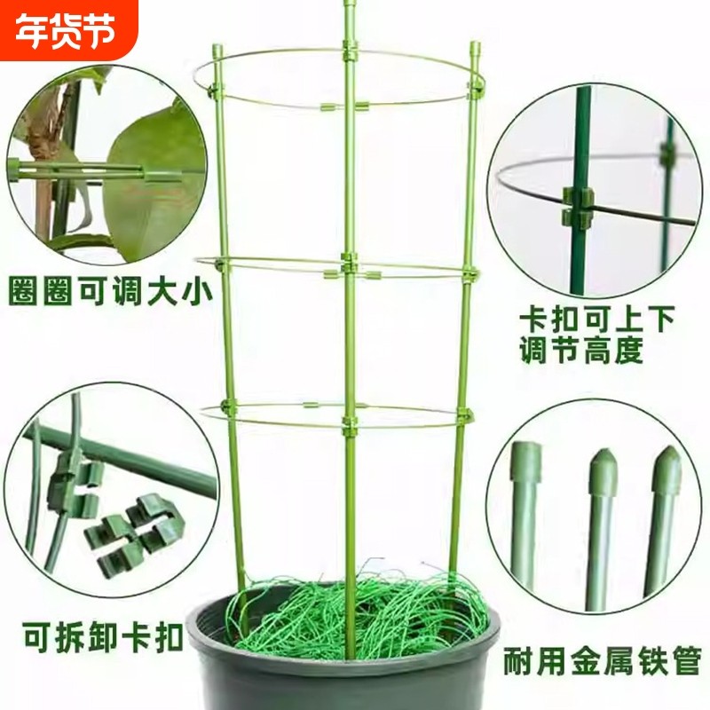 花架爬藤架子葡萄架支架杆蔬菜植物葡萄黄瓜西红柿种植架固定客厅,鲜花速递/花卉仿真/绿植园艺,花架,淘宝优惠券,粉丝福利购,淘宝优惠卷