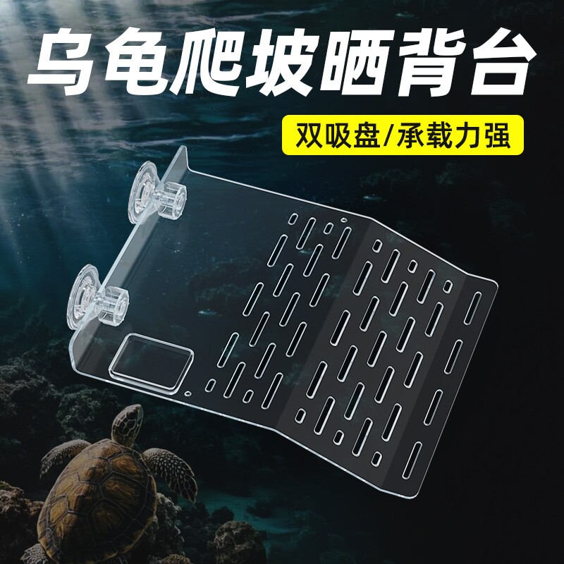 巴西龟专用爬台|超1万次加购图片