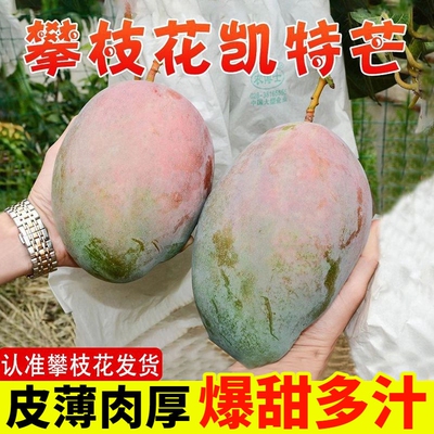 正宗攀枝花凯特芒新鲜芒果大果青当季水果斤产地直发10整箱爆甜芒