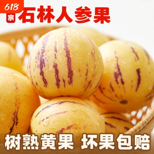 正宗石林云南石林人参果大果当季新鲜水果七彩黄肉人叁果圆果包邮