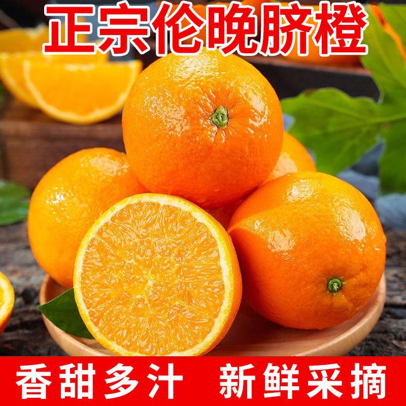 正宗伦晚脐橙新鲜橙子当季水果现摘秭归脐橙手剥甜橙多汁整箱包邮图片
