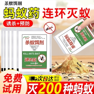 灭蚂蚁药强效全窝端家用无毒室内野外菜地灭蚁清蚂蚁药一窝端蟑螂