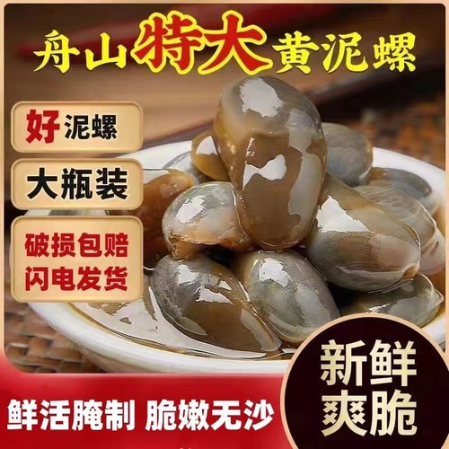 醉泥螺特大黄泥螺鲜活腌制潮汕生腌即食罐装舟山特产海鲜无沙新鲜