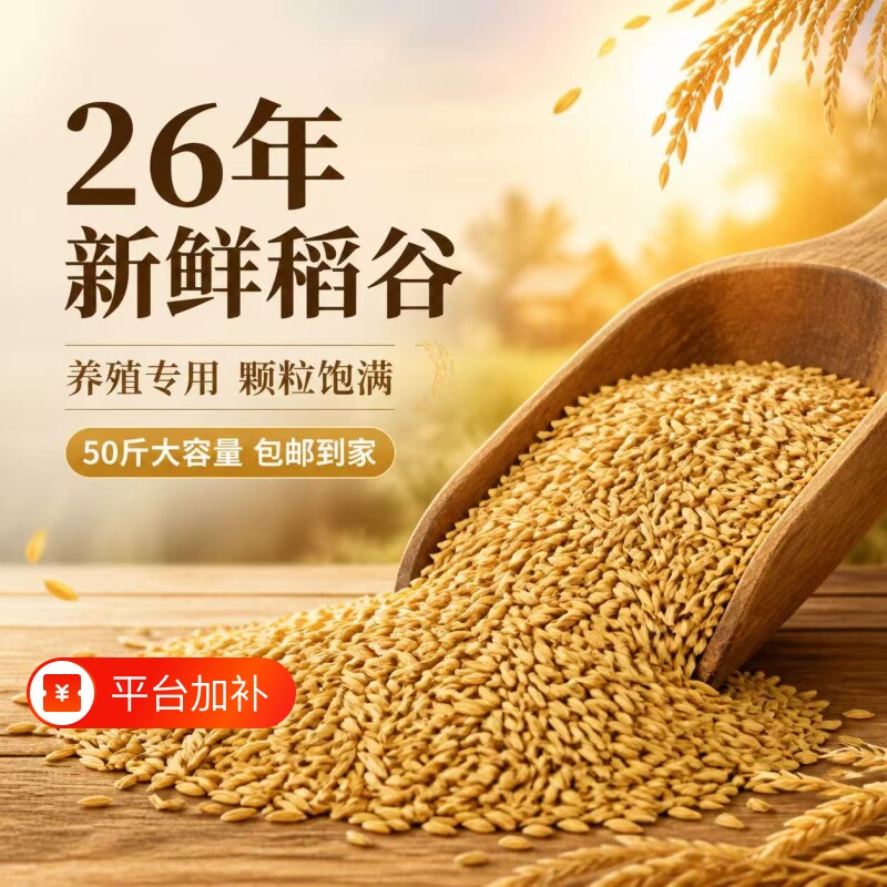 带壳稻谷谷子水稻圆稻子粮食杂粮大米喂鸡鸭鹅鸽子鸟仓鼠宠物饲料