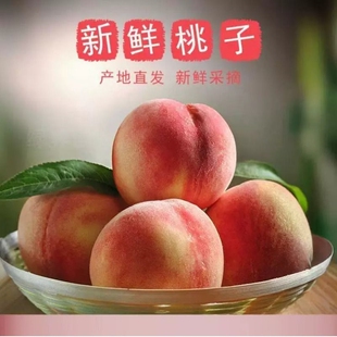砀山蜜桃单果150g精品独立包装
