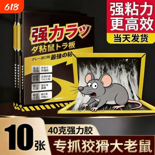 老鼠粘强力粘鼠板驱鼠灭鼠器夹超药抓捉大老鼠笼胶沾捕鼠器家用神