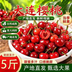 正宗大连红灯沙弥脱美早樱桃3黄金产区果肉汁水当季源头鲜果送礼