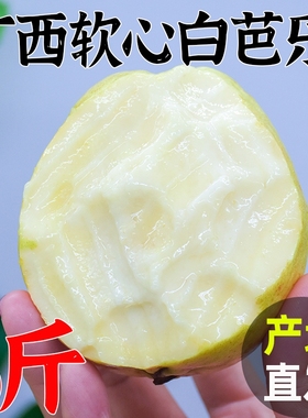 广西芭乐白心水果新鲜包邮番石榴9斤当季孕妇白肉土巴乐整箱0软心