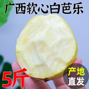 孕妇白肉土巴乐整箱0软心 番石榴9斤当季 广西芭乐白心水果新鲜 包邮