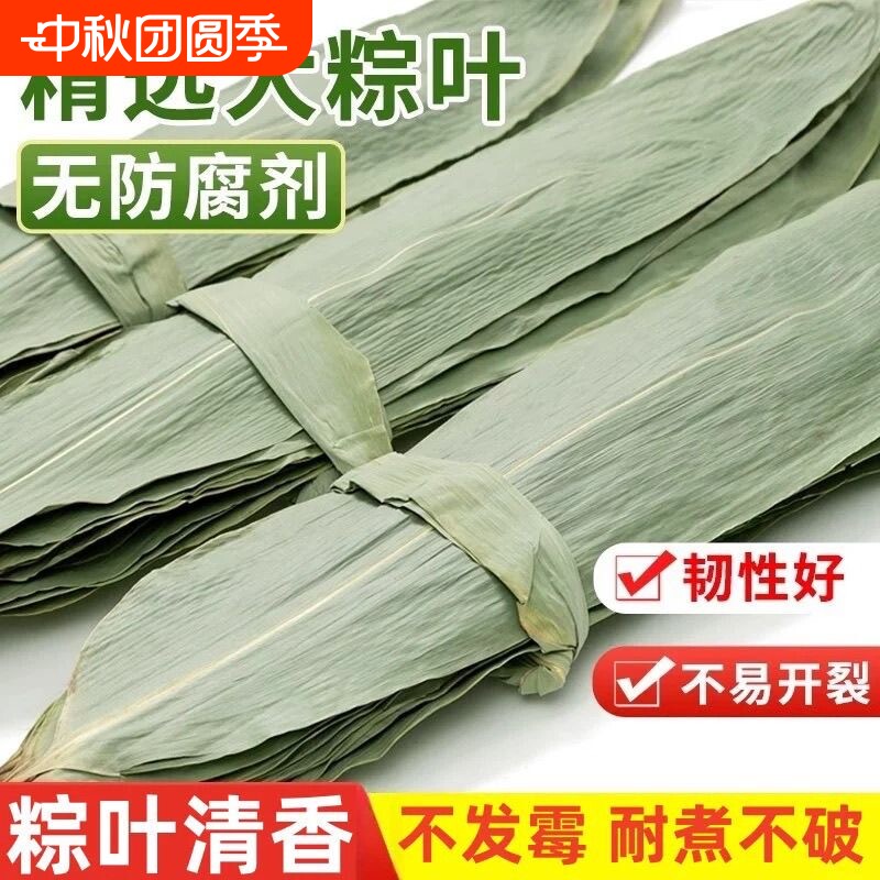 粽叶干大号粽子叶包粽子的叶子芦苇专用老式棕叶新鲜竹叶特大图片