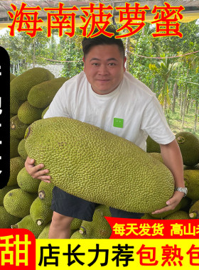 正宗海南菠萝蜜一整个新鲜水果包邮当季三亚黄肉波罗密整箱红热带