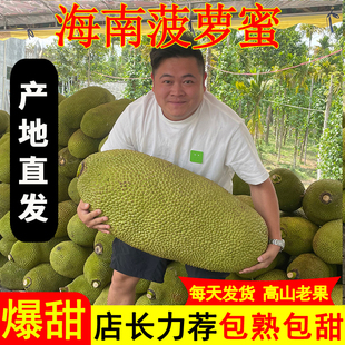 正宗海南菠萝蜜一整个新鲜水果包邮当季三亚干苞黄肉波罗密整箱红