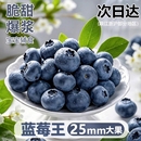 纯甜 包邮 云南蓝莓鲜果新鲜高端水果当季 怡颗高山L25花香孕妇整箱