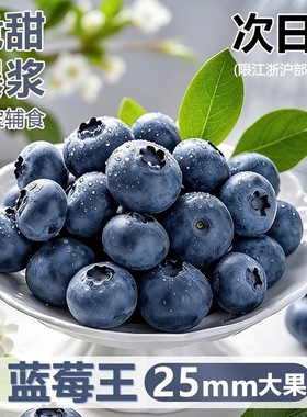 云南蓝莓鲜果新鲜高端水果当季怡颗高山L25花香孕妇整箱包邮现摘