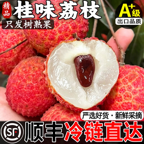 【顺丰】桂味荔枝当季新鲜水果