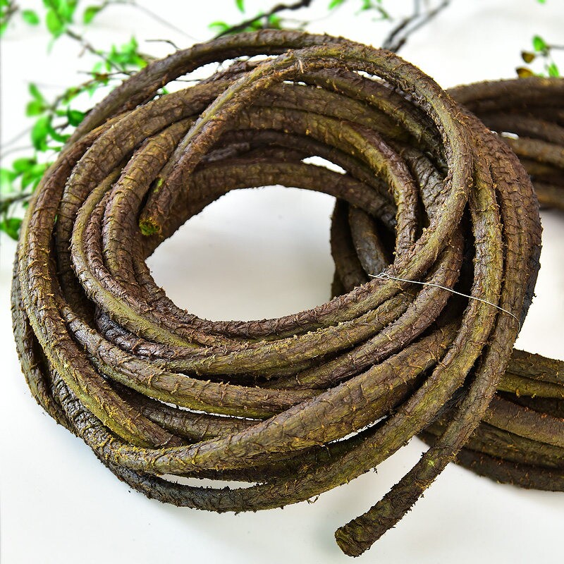 仿真藤蔓造景树藤枯藤条塑料树枝干植物森系装饰绿植热带雨林墙壁