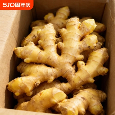 9斤云南小黄姜老姜黄姜大黄姜云南月子姜自种正宗大块新鲜1斤批发
